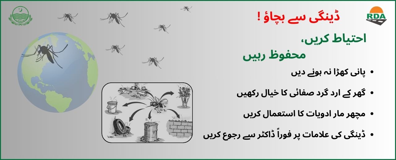 Dengue Awareness